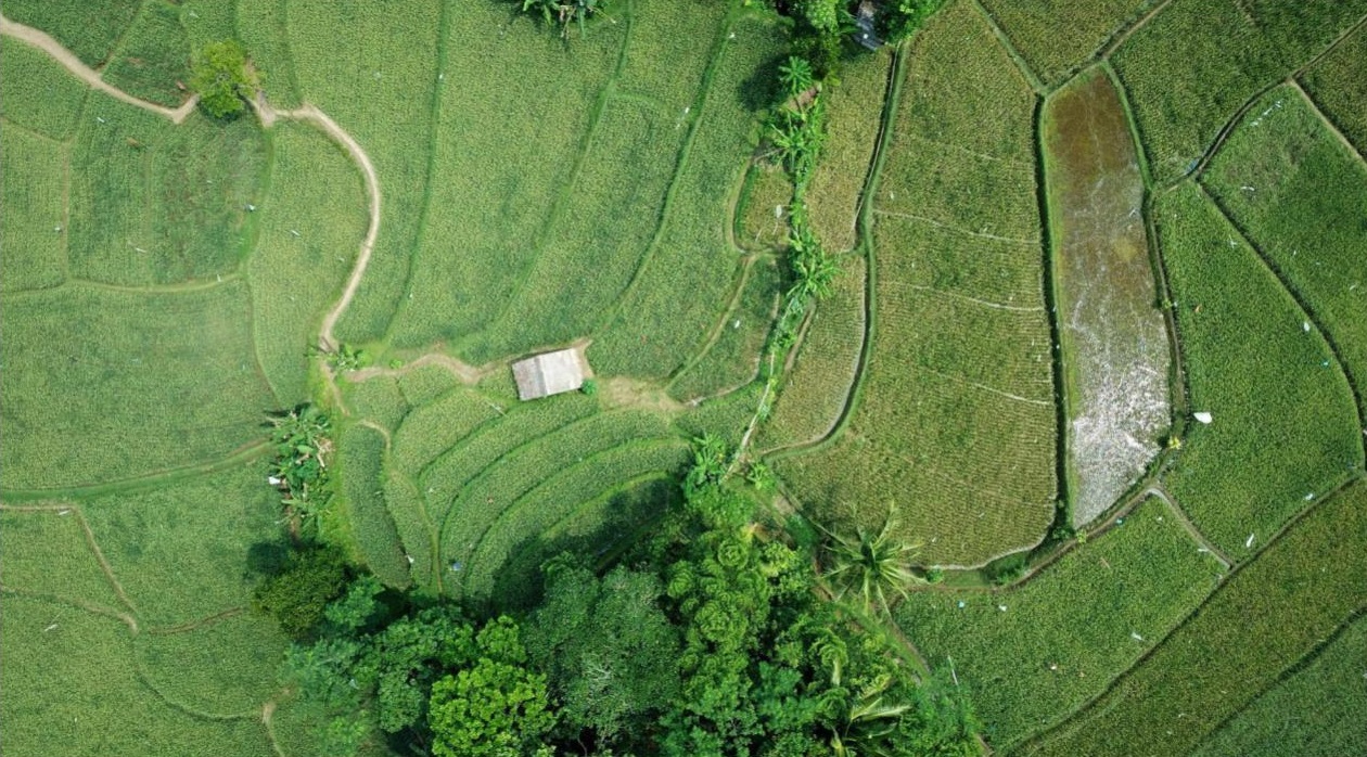 Agricultural Landscape image