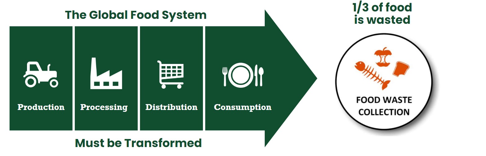 Diagram showing food waste