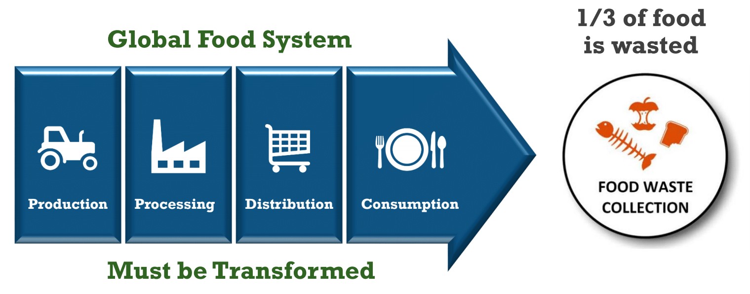 Diagram showing food waste